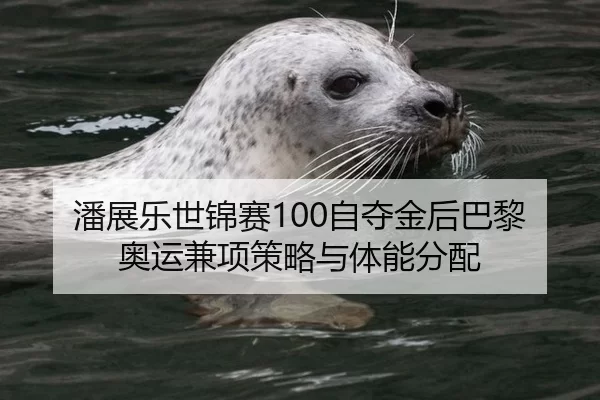 潘展乐世锦赛100自夺金后巴黎奥运兼项策略与体能分配